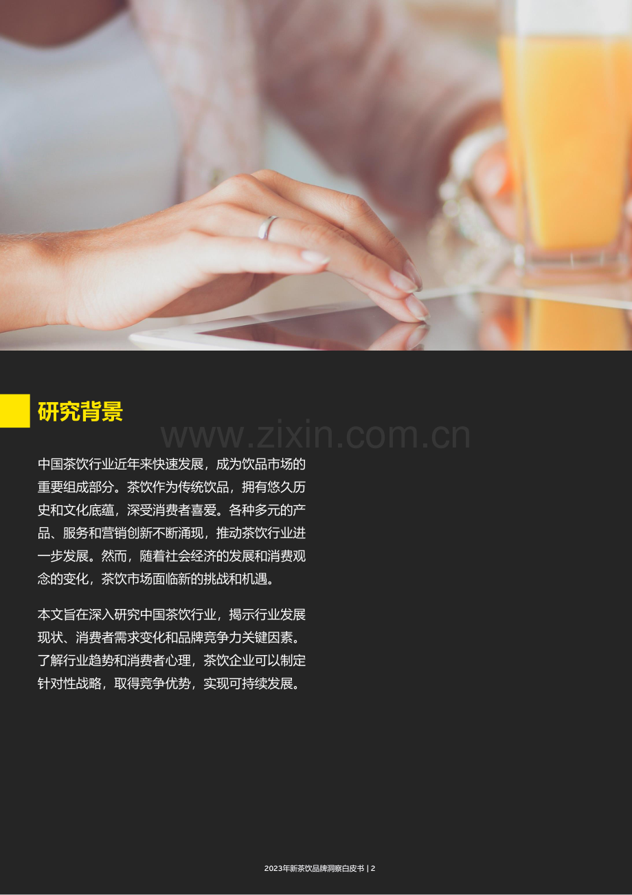 2023年新茶饮品牌洞察白皮书.pdf_第2页