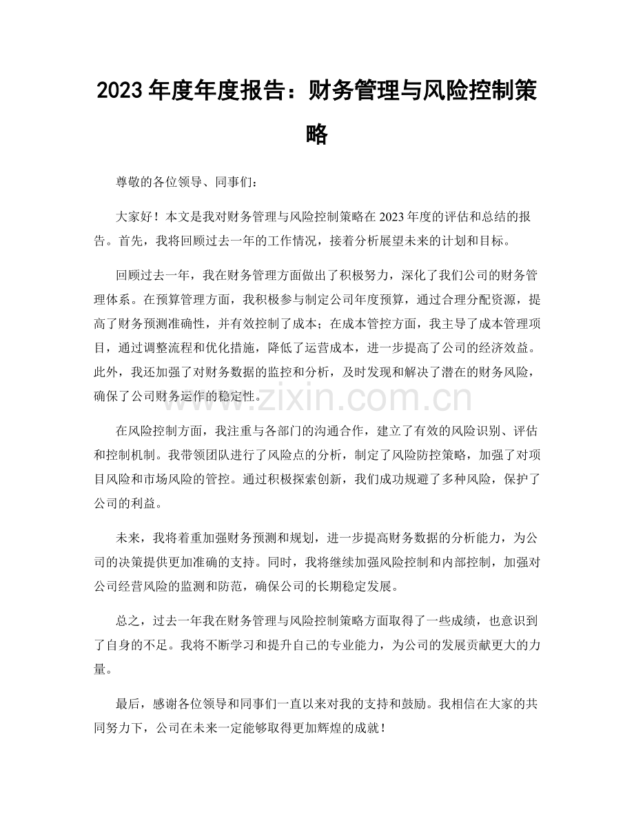 2023年度年度报告：财务管理与风险控制策略.docx_第1页