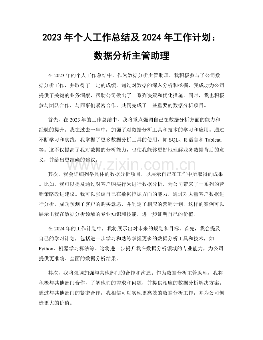 2023年个人工作总结及2024年工作计划：数据分析主管助理.docx_第1页