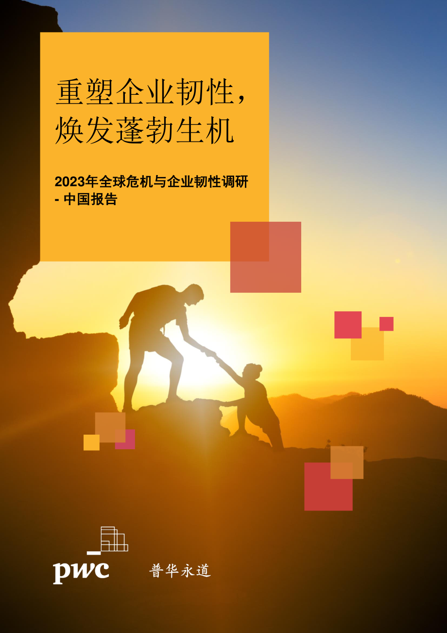 2023年全球危机与企业韧性调研中国报告重塑企业韧性焕发蓬勃生机.pdf_第1页