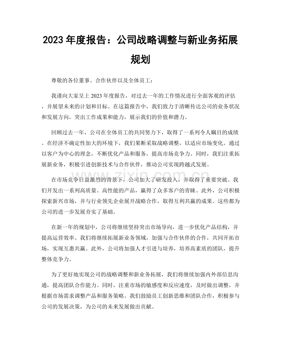 2023年度报告：公司战略调整与新业务拓展规划.docx_第1页