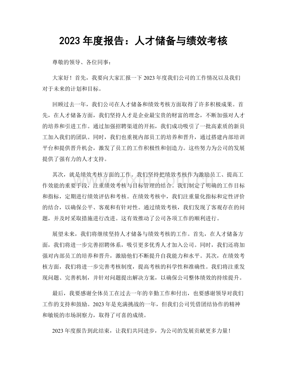 2023年度报告：人才储备与绩效考核.docx_第1页