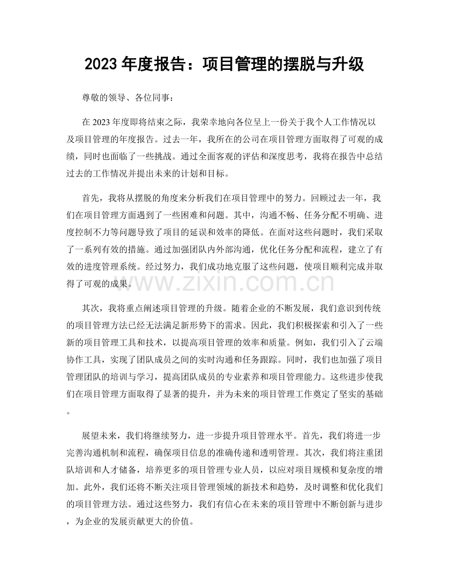 2023年度报告：项目管理的摆脱与升级.docx_第1页