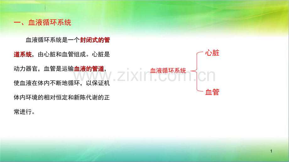 学前儿童卫生学循环系统.ppt_第1页