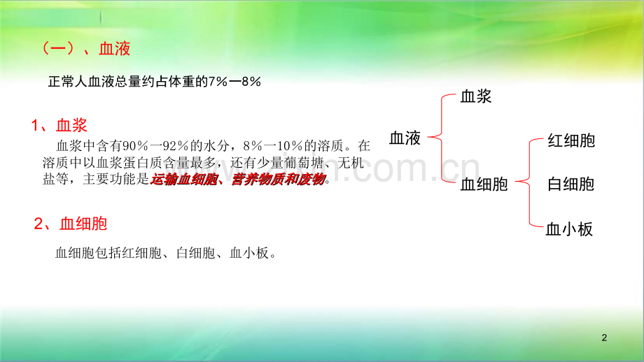 学前儿童卫生学循环系统.ppt_第2页