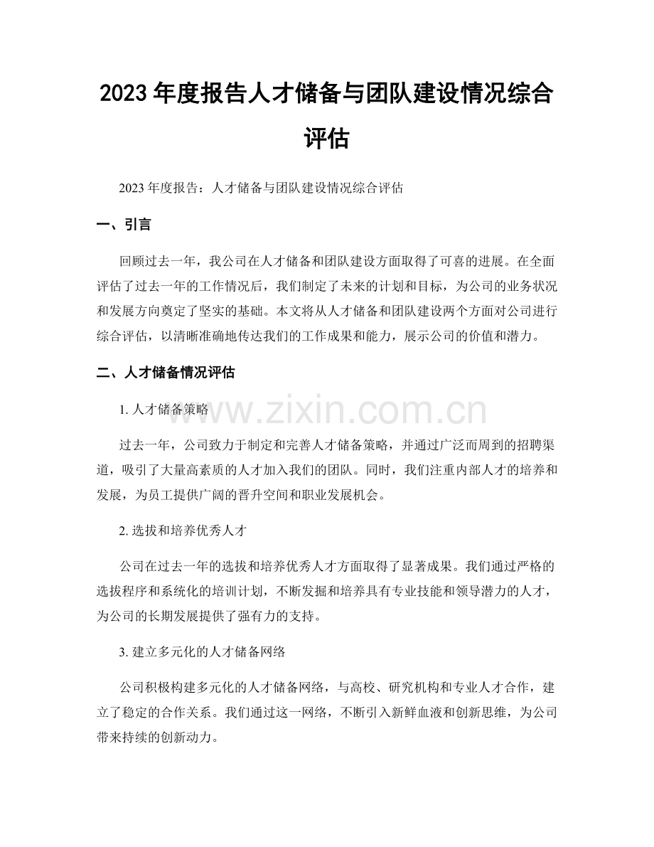 2023年度报告人才储备与团队建设情况综合评估.docx_第1页