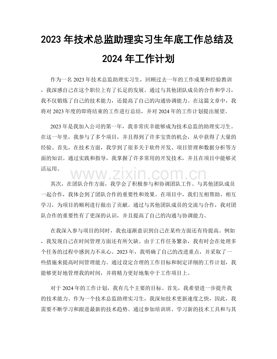 2023年技术总监助理实习生年底工作总结及2024年工作计划.docx_第1页