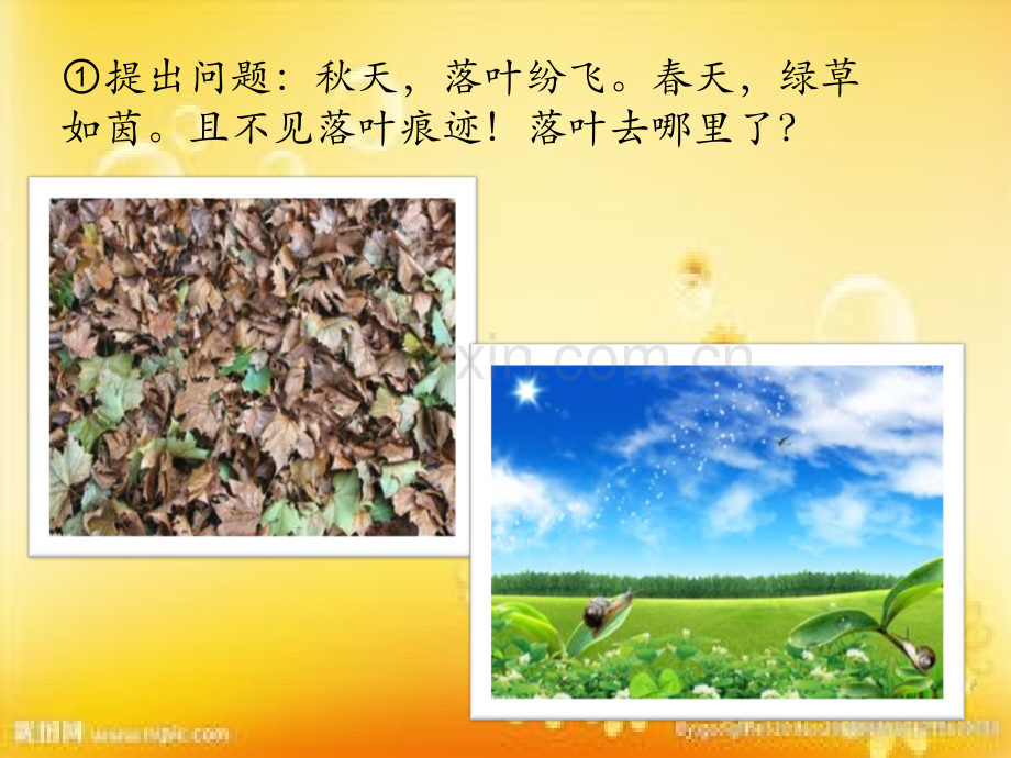 实验：土壤微生物的分解作用.ppt_第2页