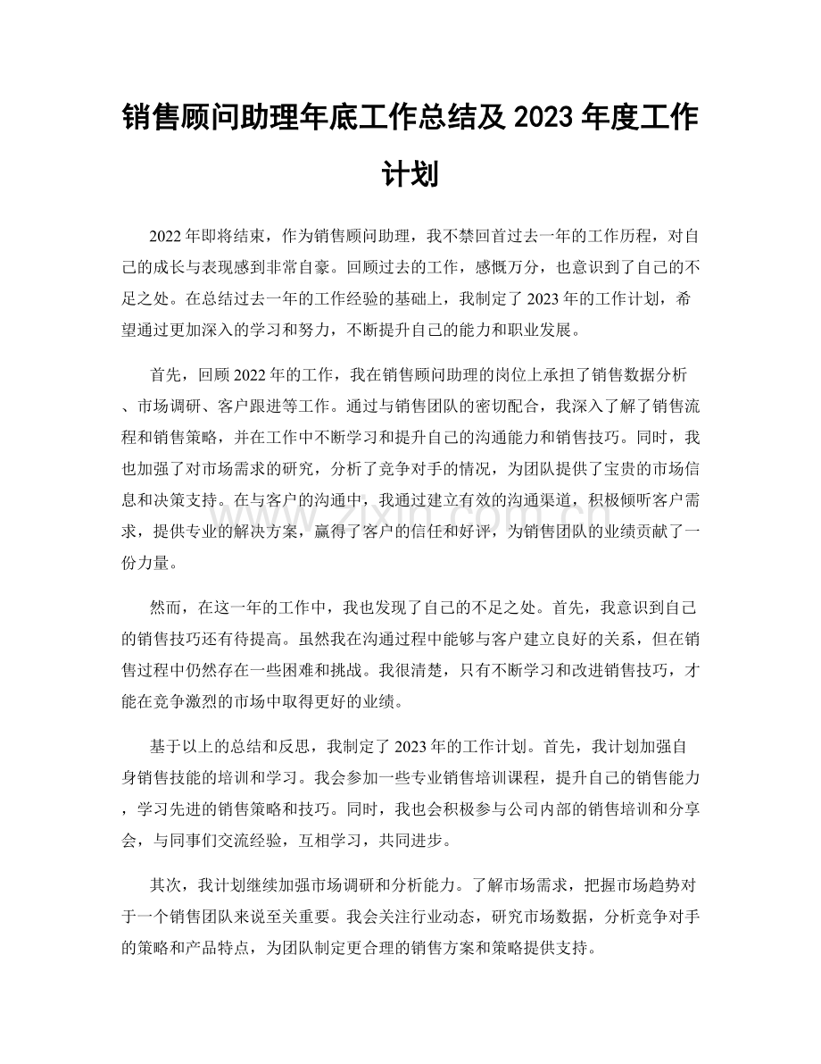 销售顾问助理年底工作总结及2023年度工作计划.docx_第1页