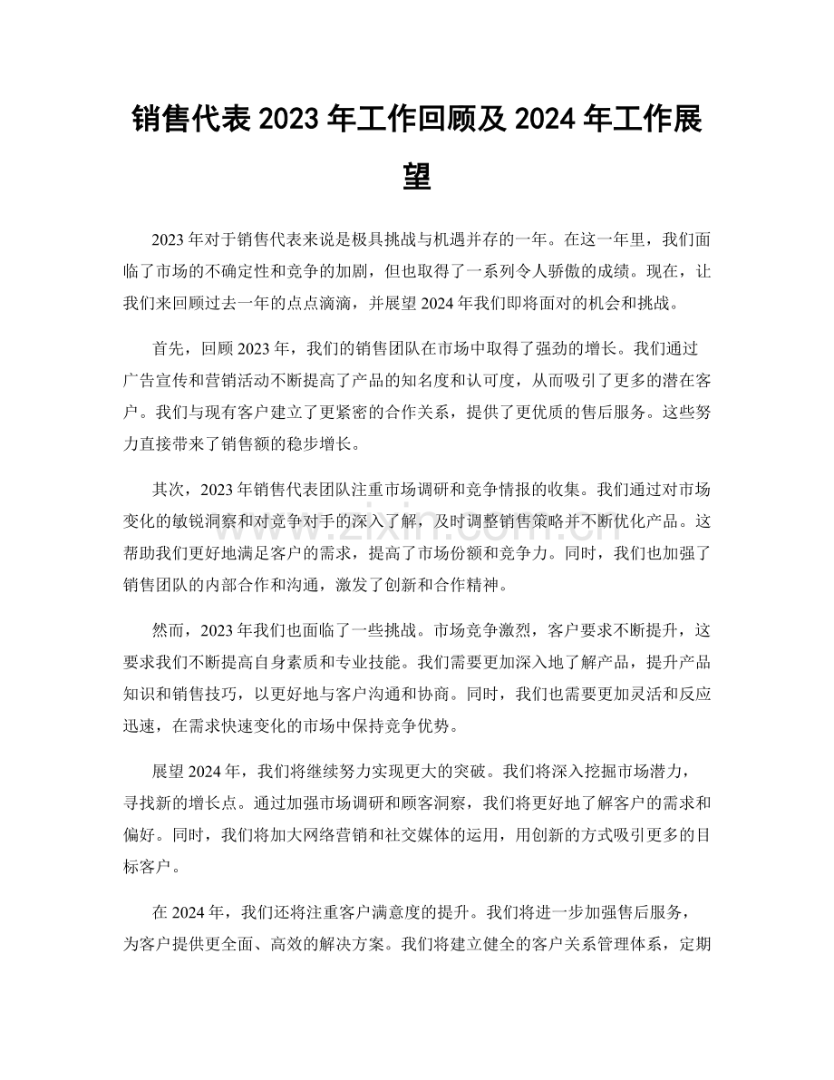 销售代表2023年工作回顾及2024年工作展望.docx_第1页