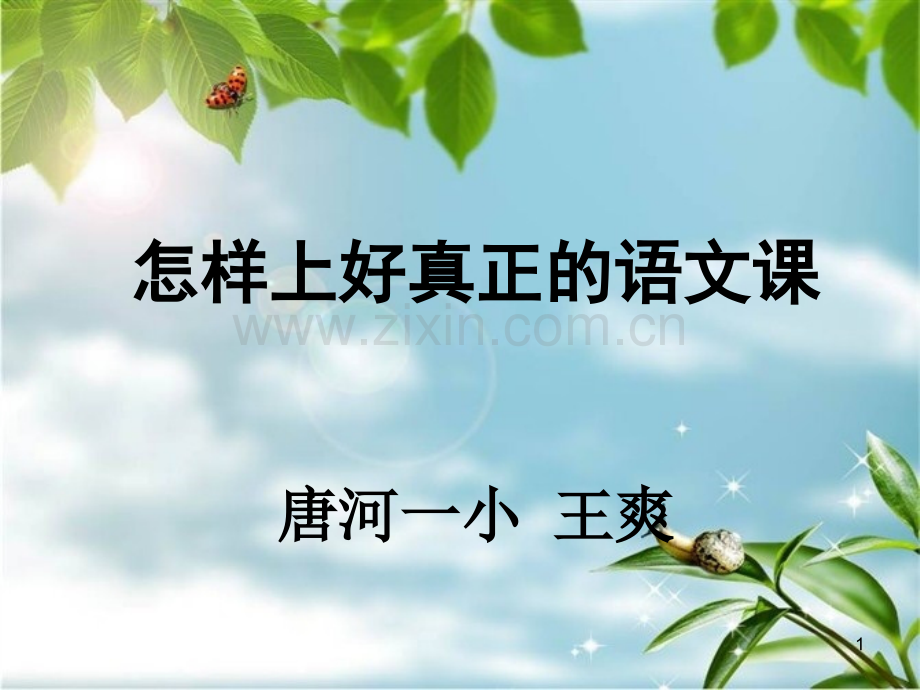 怎样上好真正的语文课.ppt_第1页