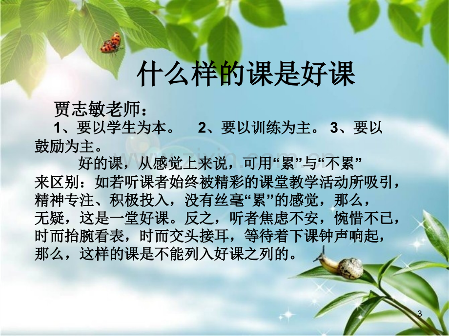 怎样上好真正的语文课.ppt_第3页