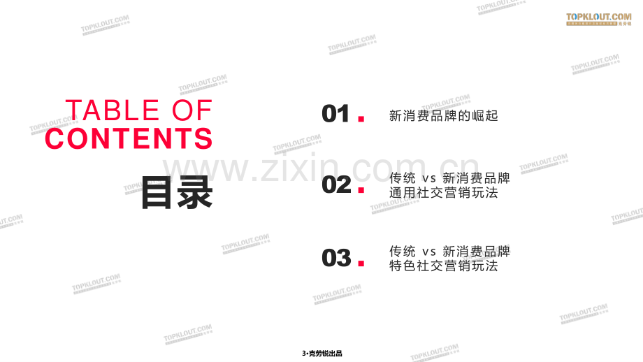 传统vs新消费品牌社交营销差异化分析报告.pdf_第3页