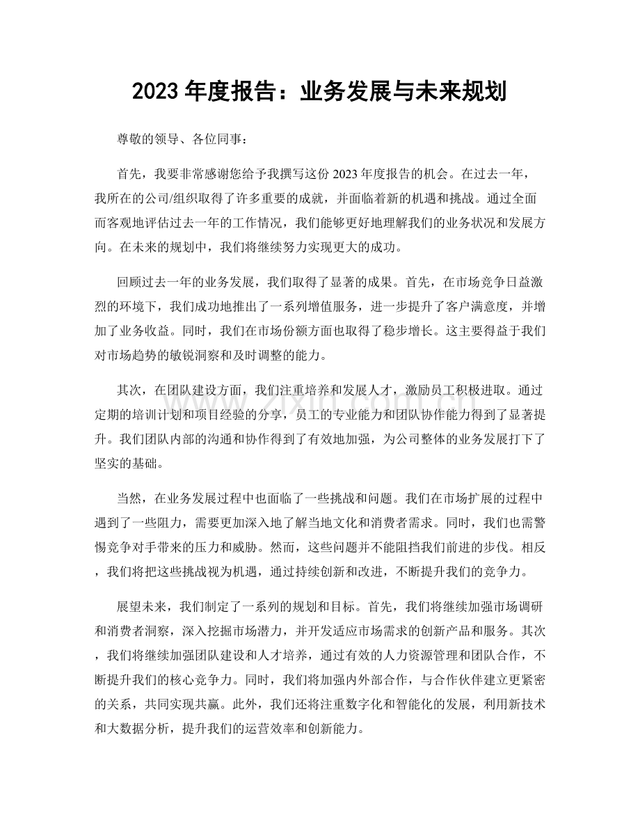 2023年度报告：业务发展与未来规划.docx_第1页