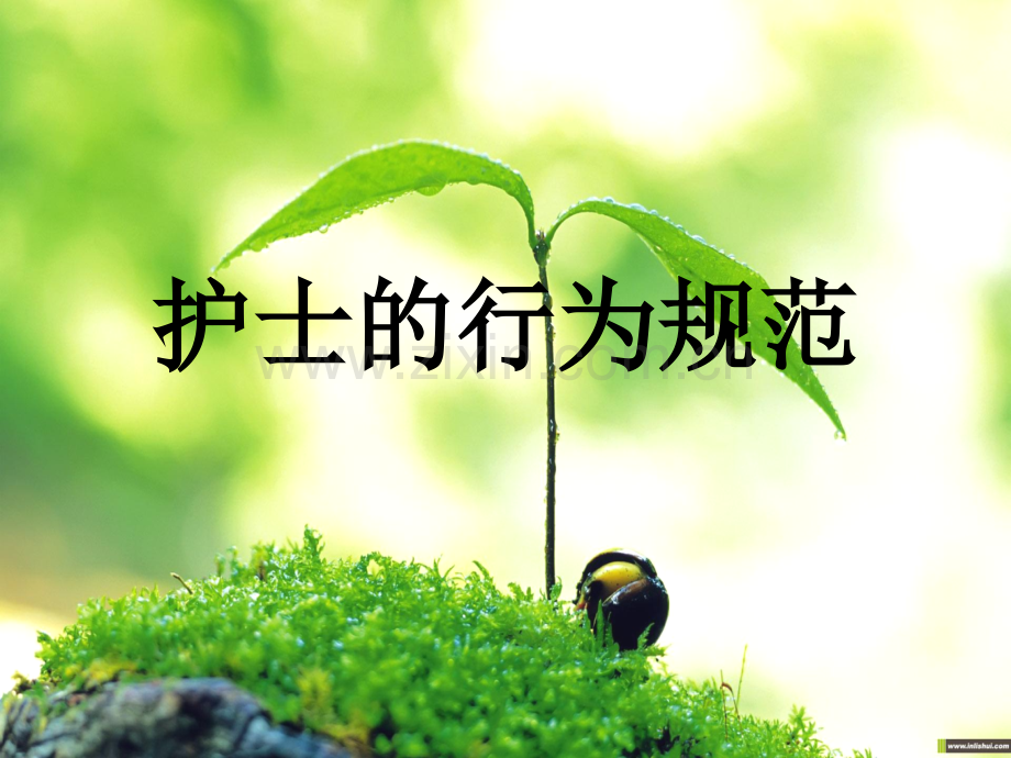 护士行为规范.ppt_第1页