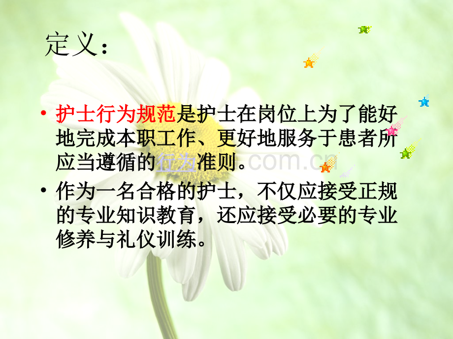 护士行为规范.ppt_第2页