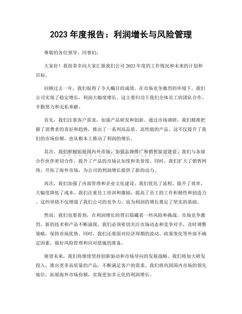 2023年度报告：利润增长与风险管理.docx_第1页