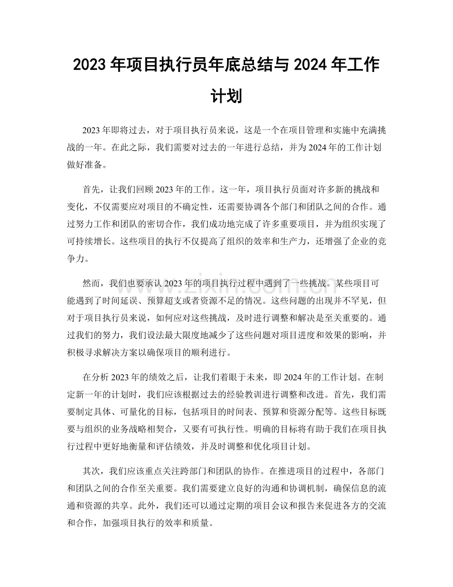 2023年项目执行员年底总结与2024年工作计划.docx_第1页