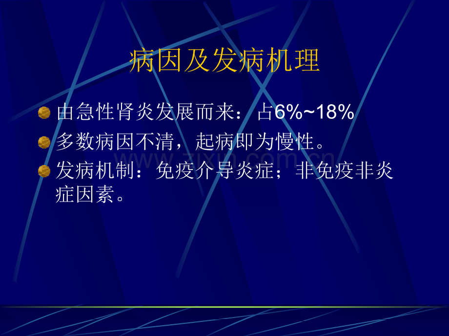 慢性肾小球肾炎的治疗-61页.ppt_第2页