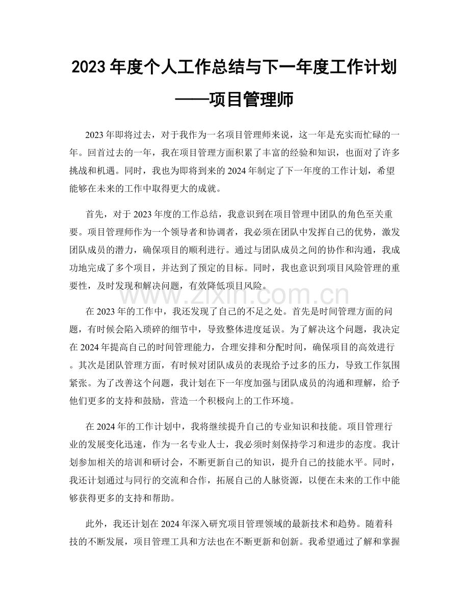 2023年度个人工作总结与下一年度工作计划——项目管理师.docx_第1页