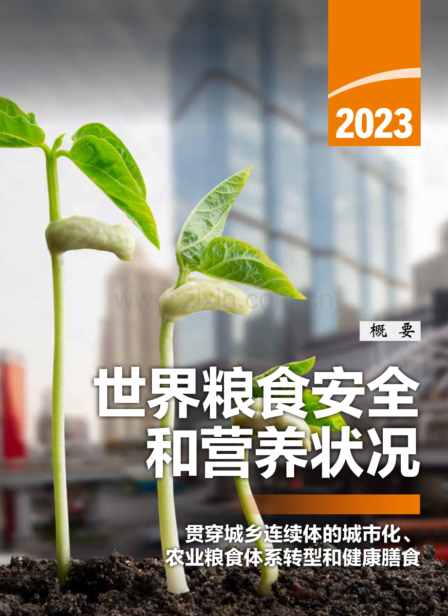 2023年世界粮食安全和营养状况.pdf_第1页