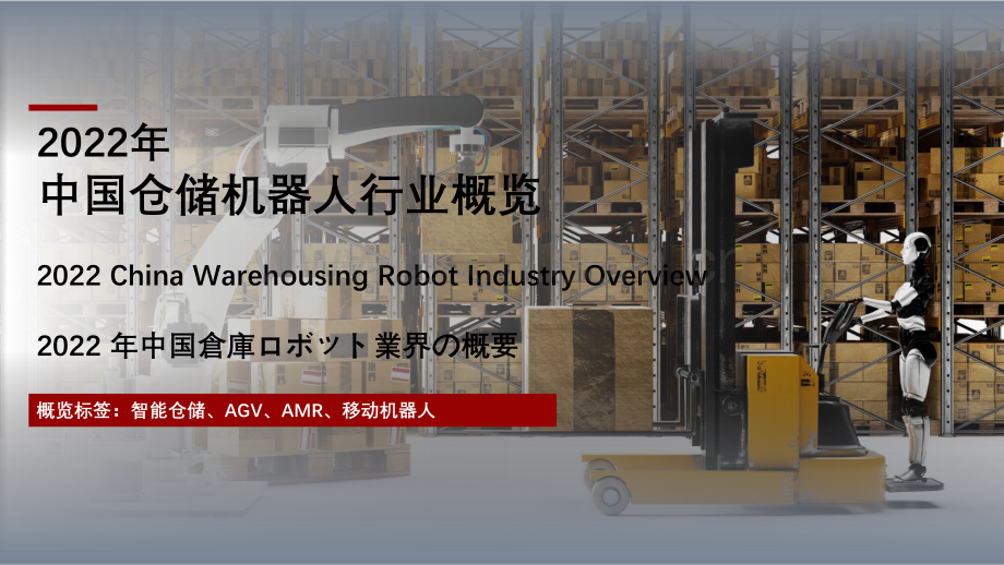 2022年中国仓储机器人行业概览.pdf_第1页