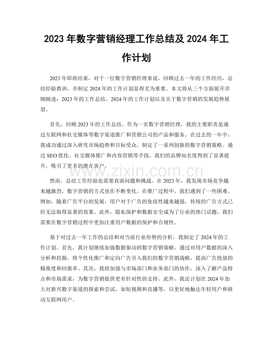 2023年数字营销经理工作总结及2024年工作计划.docx_第1页