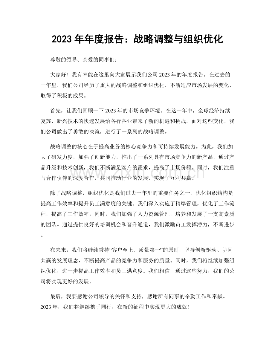 2023年年度报告：战略调整与组织优化.docx_第1页