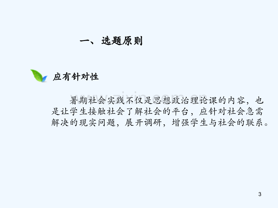 思政理论暑期社会实践课程培训.pptx_第3页