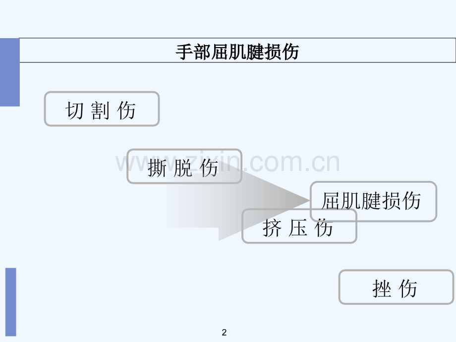 屈肌腱损伤的康复治疗.ppt_第2页