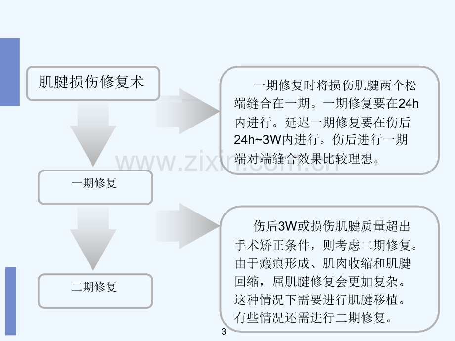 屈肌腱损伤的康复治疗.ppt_第3页