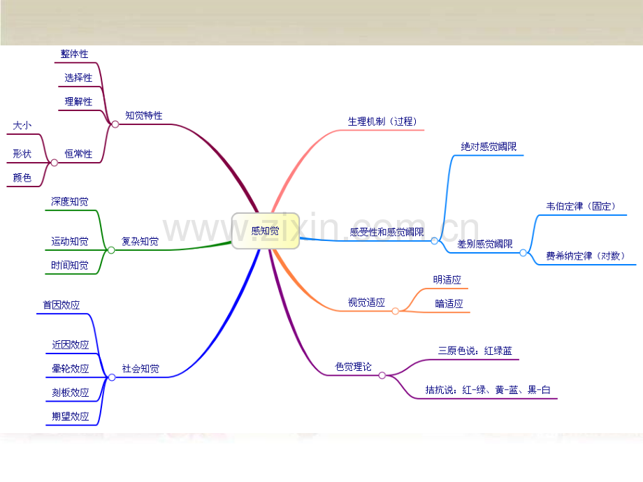 教师资格证心理学复习.ppt_第3页