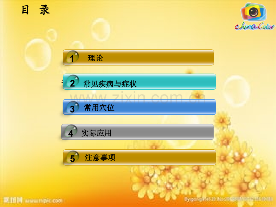 放血排瘀疗法.ppt_第2页