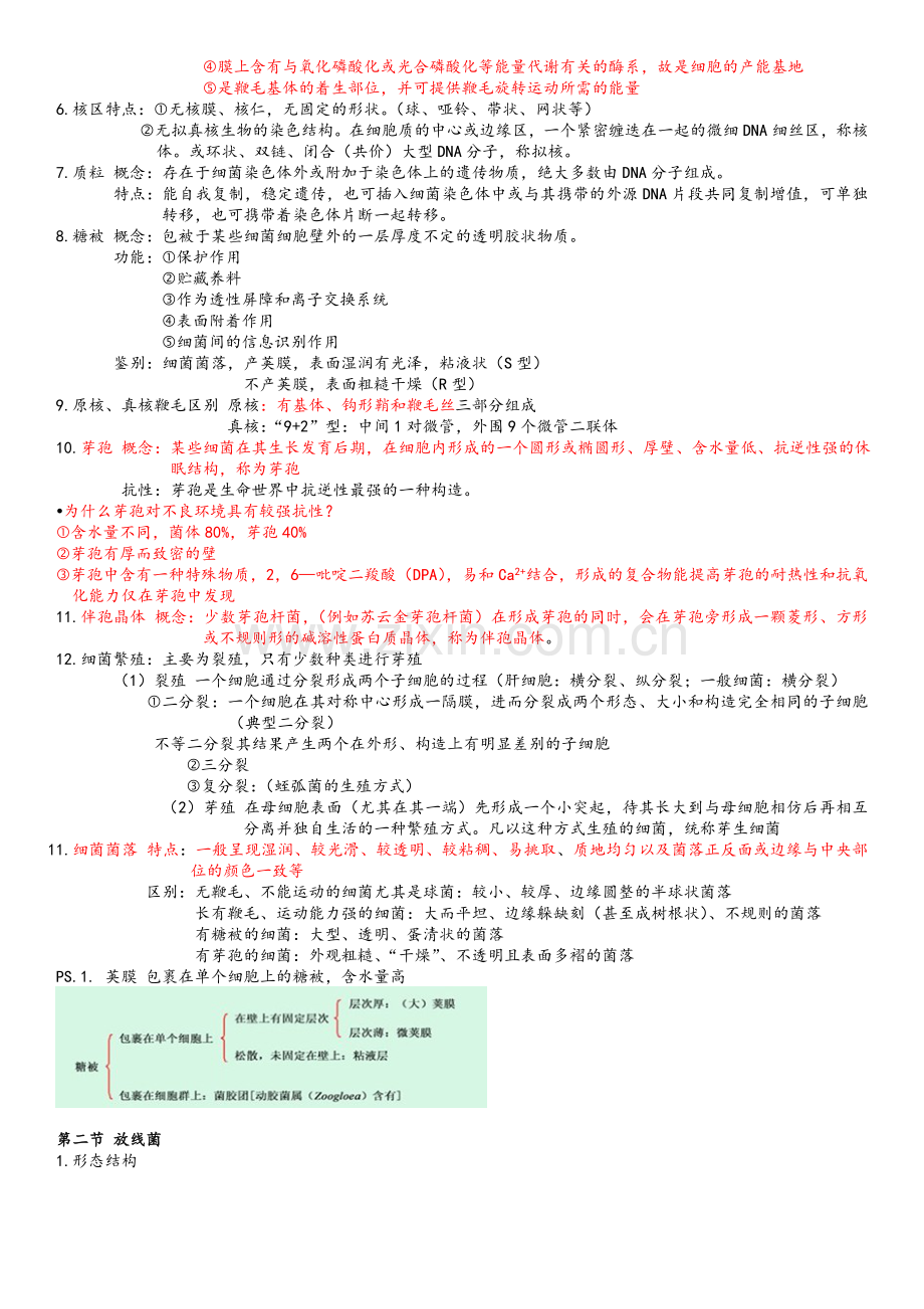 微生物重点复习资料(微生物学教程-周德庆).doc_第2页