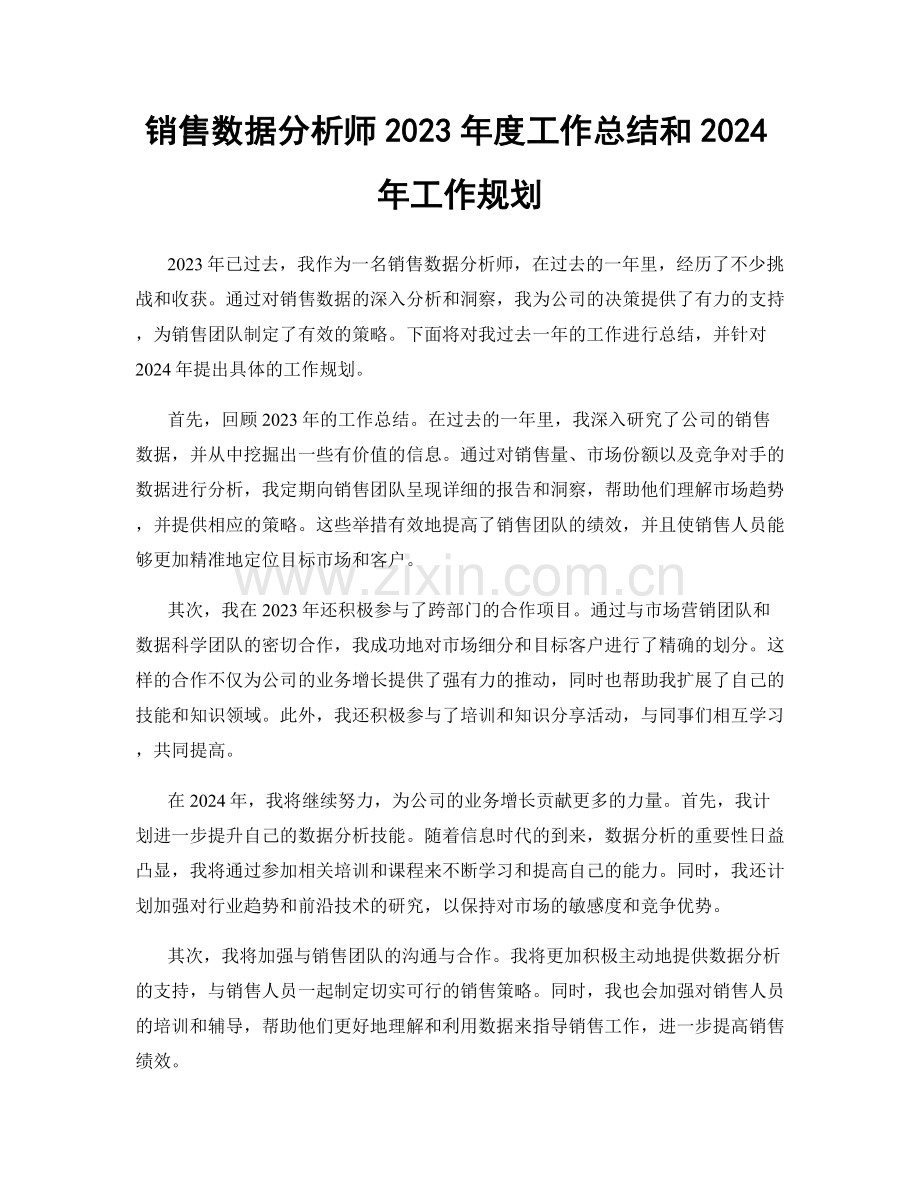 销售数据分析师2023年度工作总结和2024年工作规划.docx_第1页