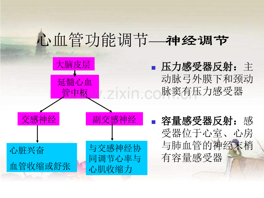 心血管药物在麻醉中的应用.ppt_第3页