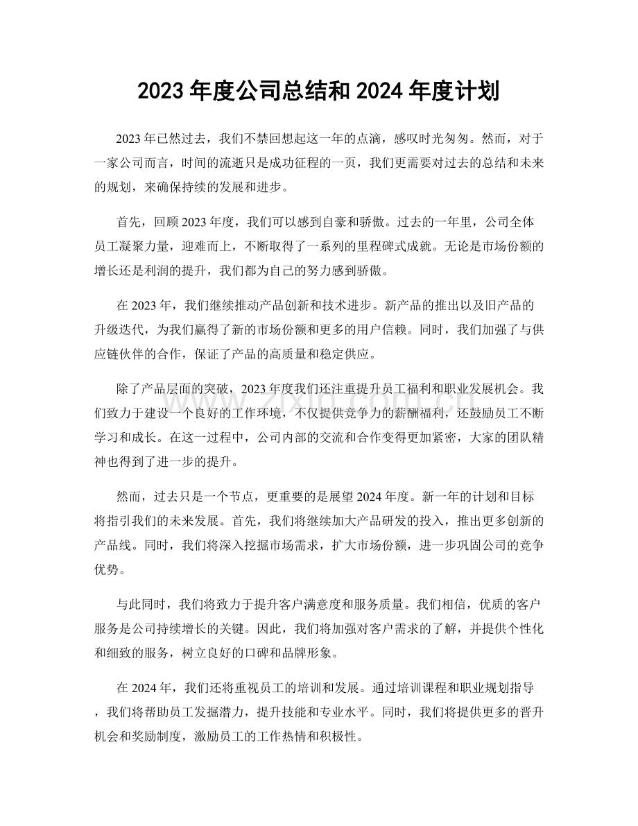 2023年度公司总结和2024年度计划.docx_第1页