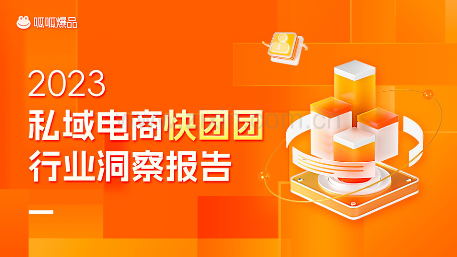 2023年私域电商快团团行业洞察报告.pdf_第1页