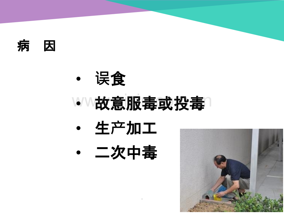 急性灭鼠剂中毒课件.ppt_第3页