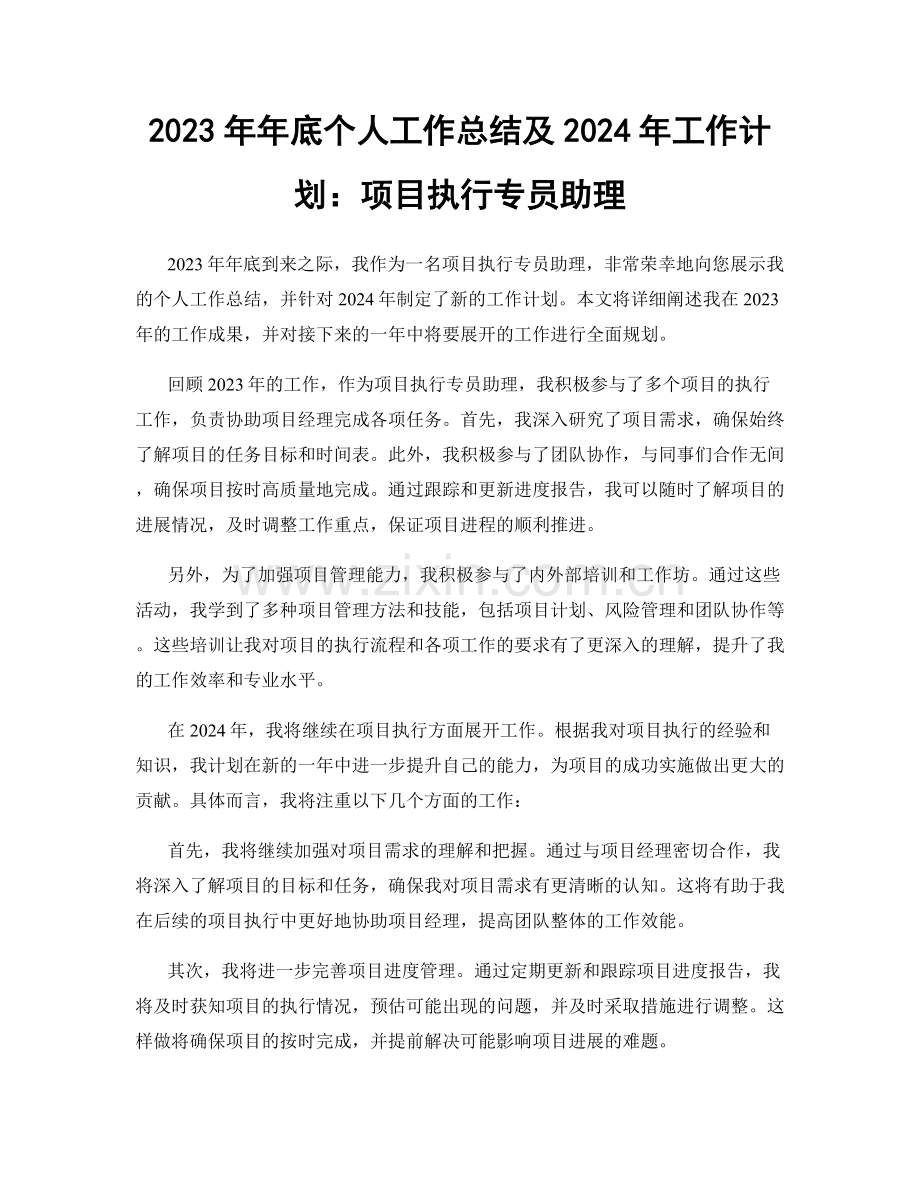 2023年年底个人工作总结及2024年工作计划：项目执行专员助理.docx_第1页