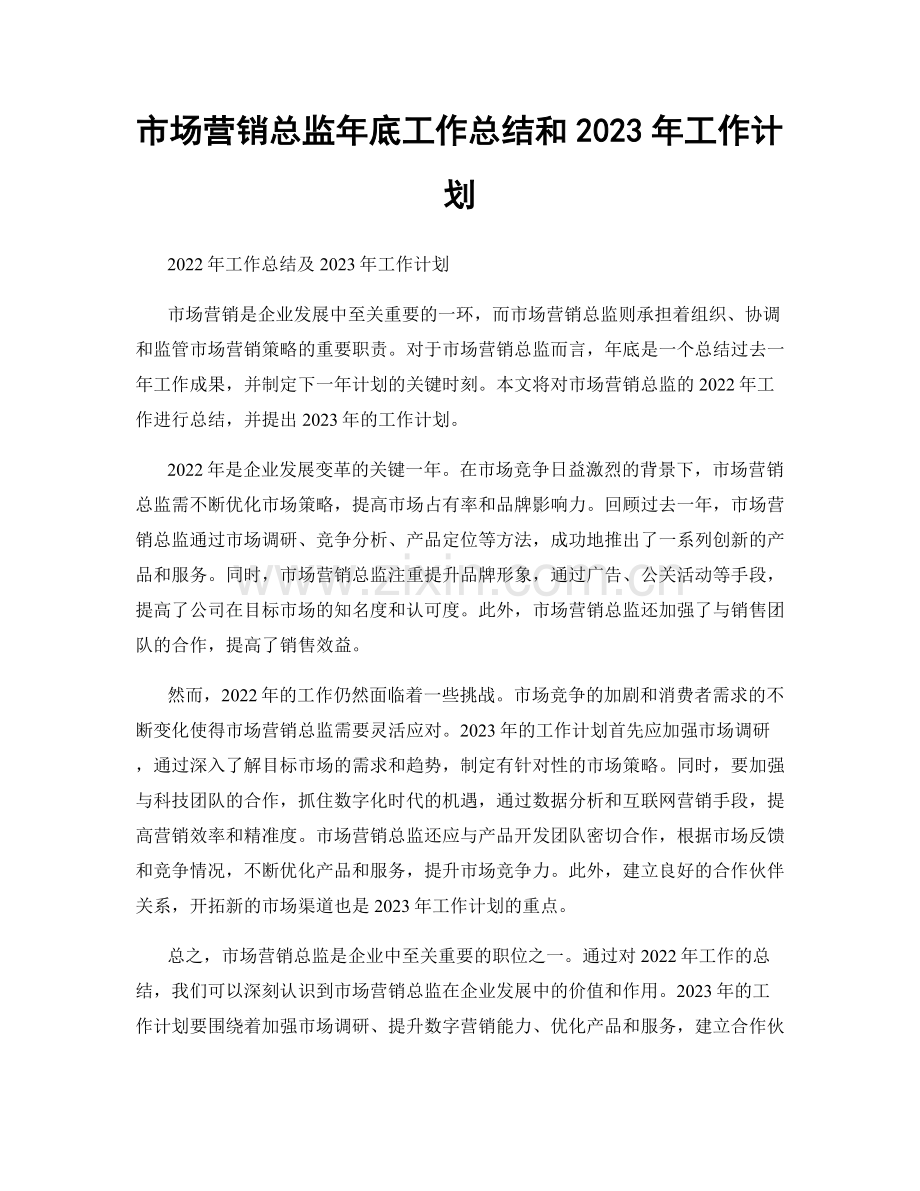 市场营销总监年底工作总结和2023年工作计划.docx_第1页