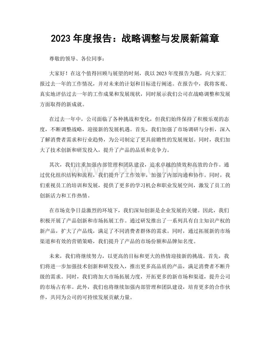 2023年度报告：战略调整与发展新篇章.docx_第1页