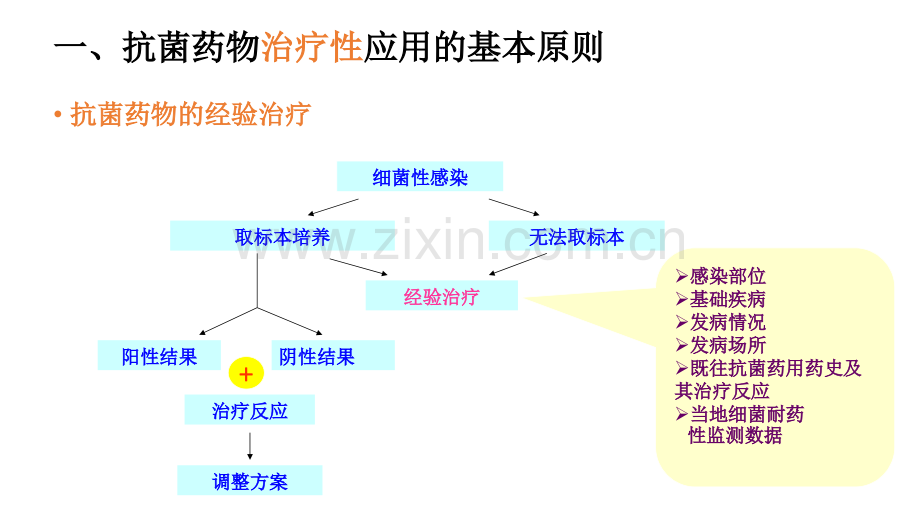 培训抗菌药物临床应用指导原则.ppt_第3页