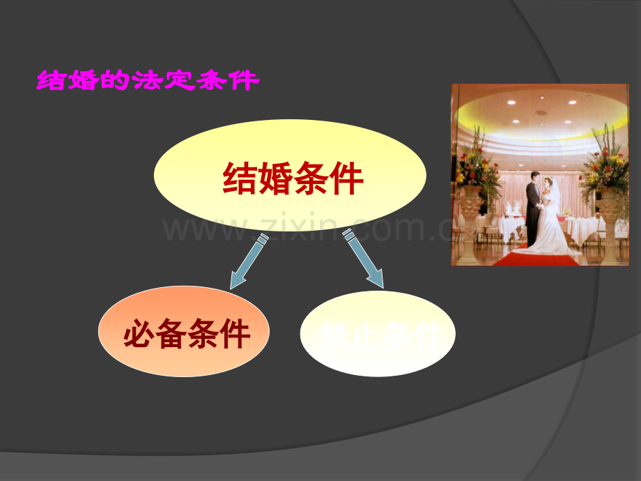 婚姻法教学ppt.ppt_第3页