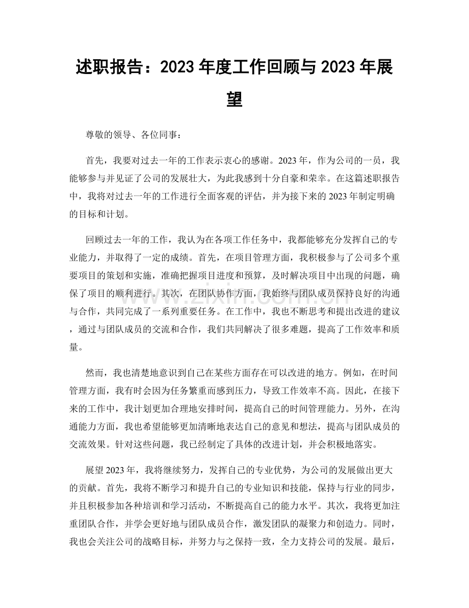 述职报告：2023年度工作回顾与2023年展望.docx_第1页