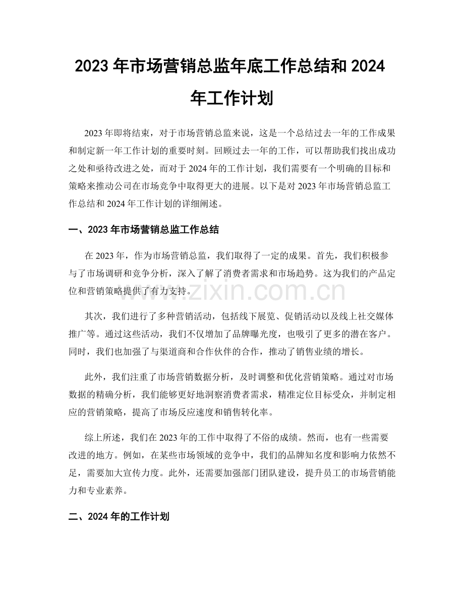 2023年市场营销总监年底工作总结和2024年工作计划.docx_第1页