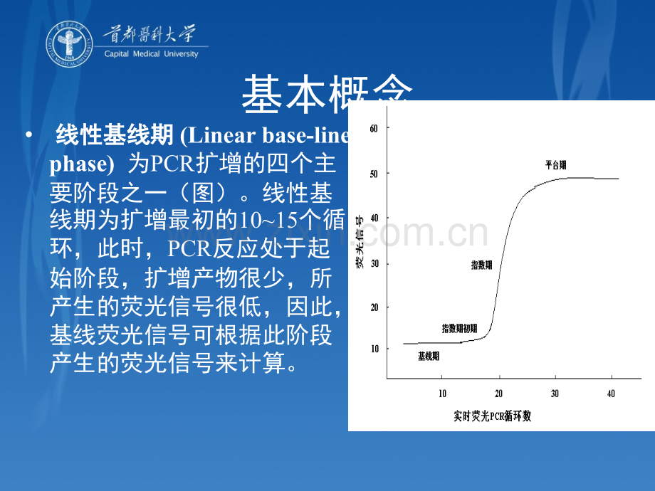 实时荧光定量PCR检测的数据处理及结果报告.ppt_第2页