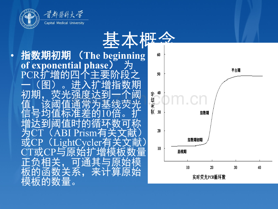 实时荧光定量PCR检测的数据处理及结果报告.ppt_第3页