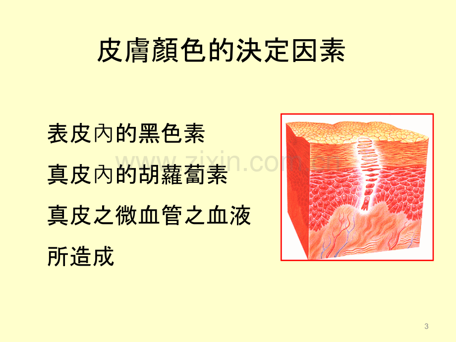 嫩白保养系列.ppt_第3页