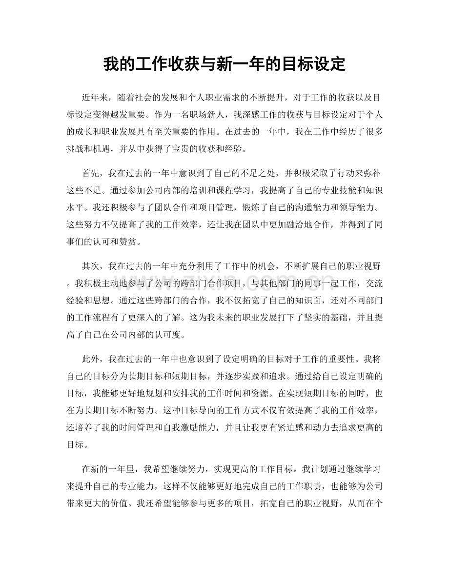 我的工作收获与新一年的目标设定.docx_第1页